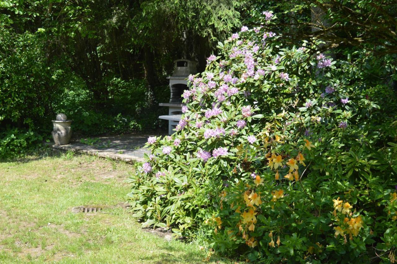 Le Moulin De Chatillon Saint-Leger Esterno foto